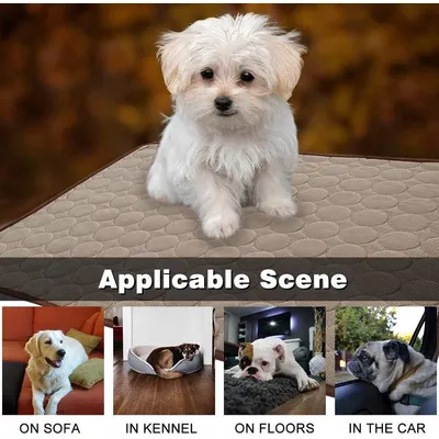 ZENITHMIND Matelas Refroidissant pour Animaux De Compagnie Tapis 70x56cm