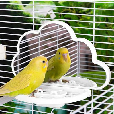 LovuPet Miroir à Oiseaux avec perchoir, Jouets pour Oiseaux