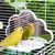 LovuPet Miroir à Oiseaux avec perchoir, Jouets pour Oiseaux