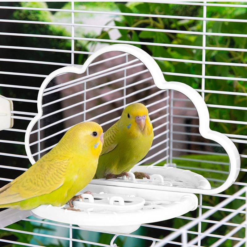 LovuPet Miroir à Oiseaux avec perchoir, Jouets pour Oiseaux