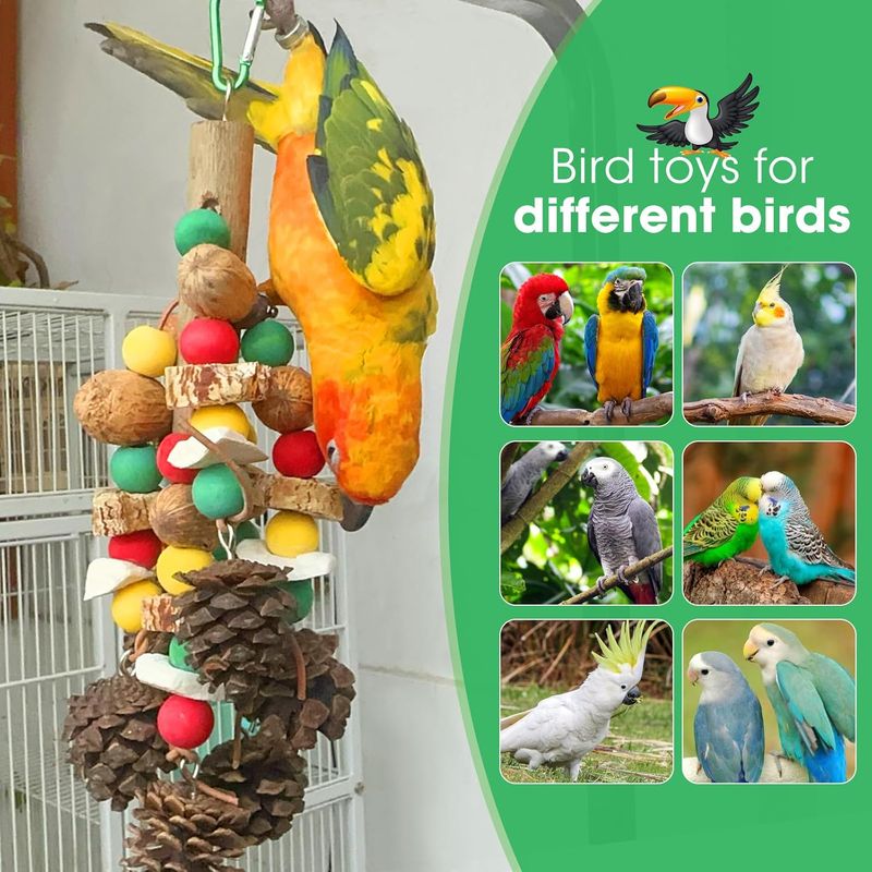 LovuPet Jouet à mordre en bois naturel pour cage de perroquet