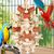 LovuPet Jouets pour oiseaux,pour perroquets gris africains, aras, cacatoès