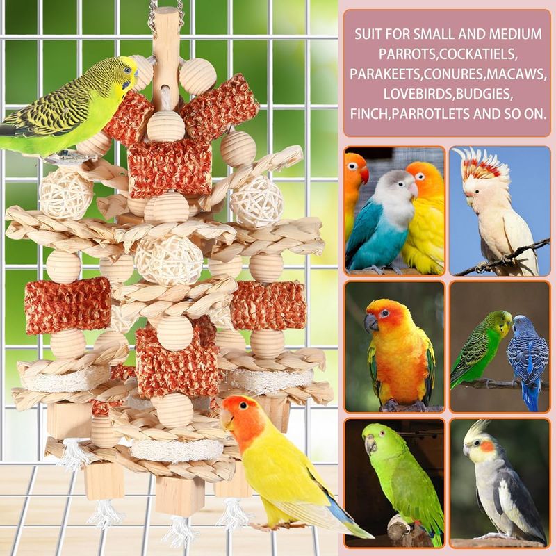 LovuPet Jouets pour oiseaux,pour perroquets gris africains, aras, cacatoès