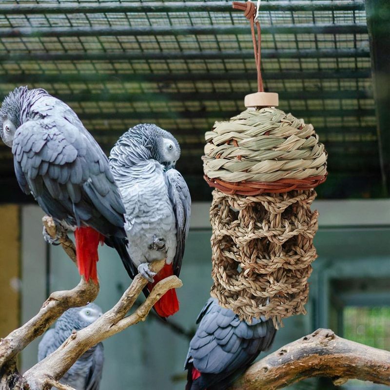 LovuPet Jouets pour perroquets d'oiseaux,Morsure Cage Perroquet en Bois
