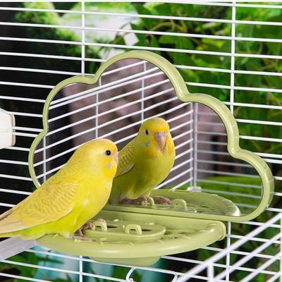 LovuPet Miroir à Oiseaux avec perchoir, Jouets pour Oiseaux