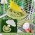 LovuPet Miroir à Oiseaux avec perchoir, Jouets pour Oiseaux