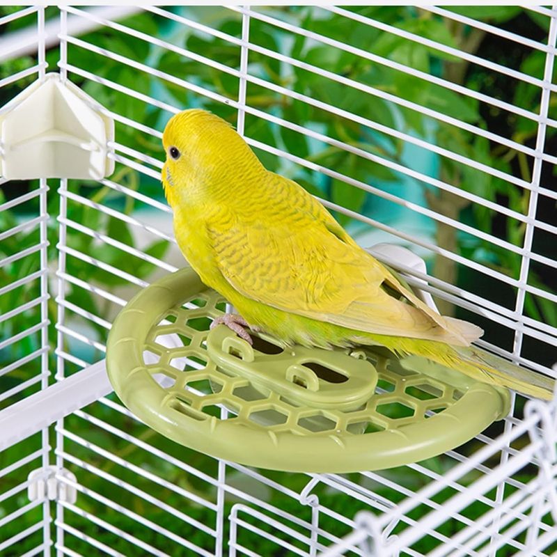 LovuPet Miroir à Oiseaux avec perchoir, Jouets pour Oiseaux
