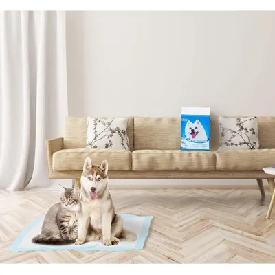 ZENITHMIND Tapis de toilette pour chiots, 40 * 60 cm