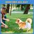 ZENITHMIND Couches pour chiens, couches d'entraînement, L