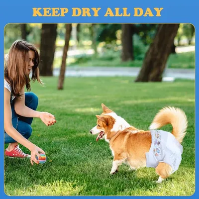 ZENITHMIND Couches pour chiens, couches d'entraînement, L