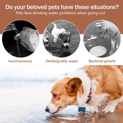 Bouteille d'eau pour Chien, Pliable Gourde Chien, Gourde Chien Promenade