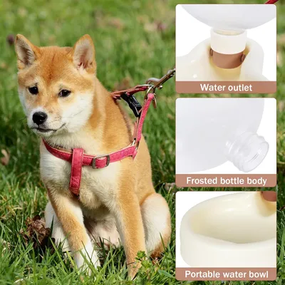 LovuPet Botella agua perros, botella agua plegable perros, botella agua