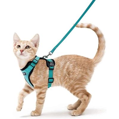 Harnais Chat Petit Chien Laisse Harnais Chaton Réglable,XS,sky blue