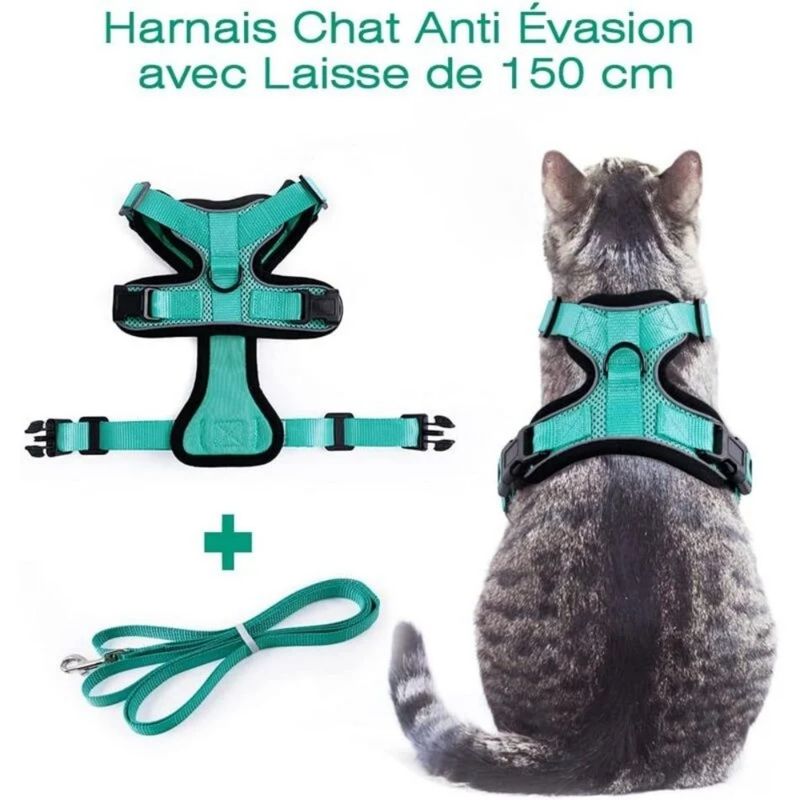 Harnais Chat Petit Chien Laisse Harnais Chaton Réglable,XS,sky blue