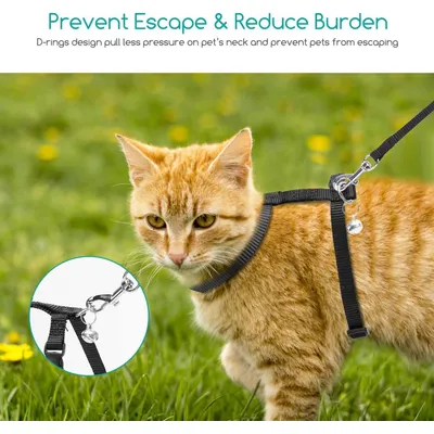 ZENITHMIND Corde de traction pour chat, sangle en nylon réglable