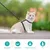 ZENITHMIND Corde de traction pour chat, sangle en nylon réglable