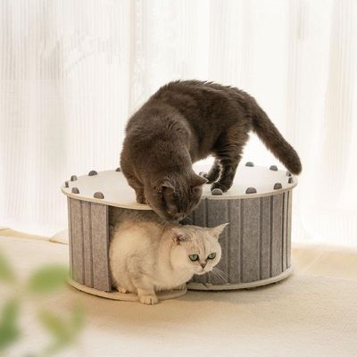 ZENITHMIND Lit de chat jeu Tunnel