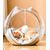 ZENITHMIND Nid semi - fermé en plastique respirant pour chat