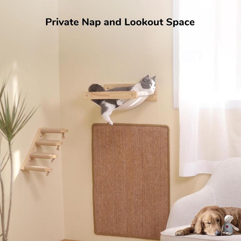 ZENITHMIND Hamac pour Chat à Fixation Murale pour Grand Chat