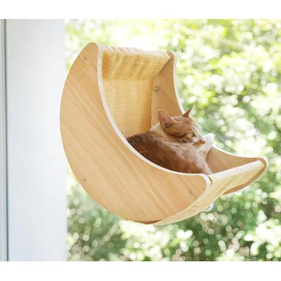 ZENITHMIND Camas para gatos con ventana para gatos de interior