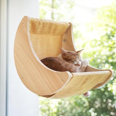ZENITHMIND Camas para gatos con ventana para gatos de interior