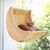 ZENITHMIND Camas para gatos con ventana para gatos de interior