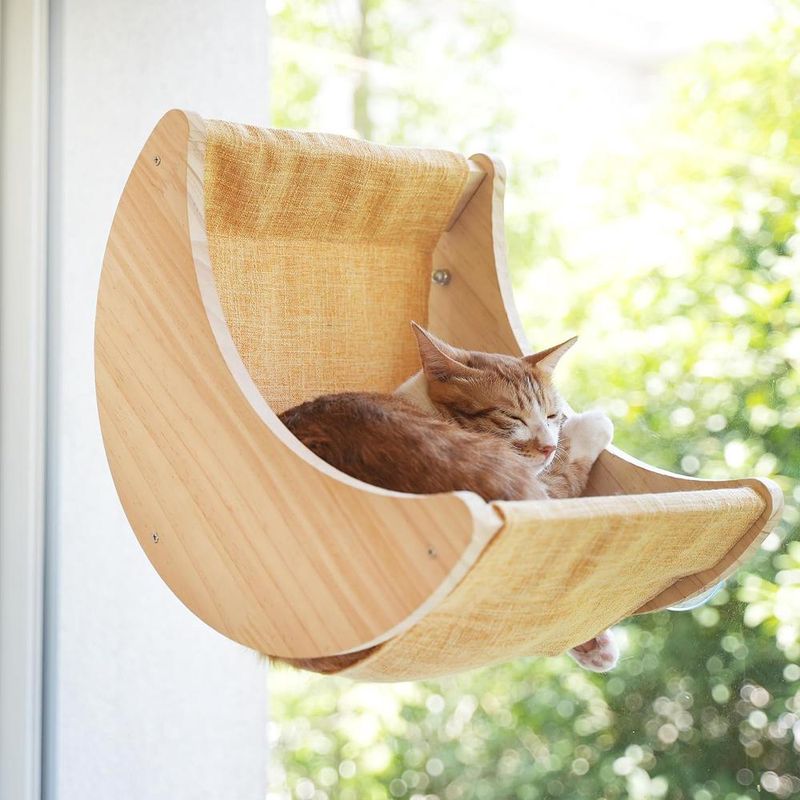 ZENITHMIND Camas para gatos con ventana para gatos de interior