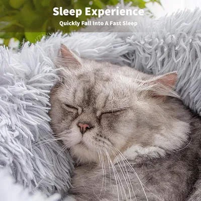 ZENITHMIND Panier Lit Chaud et Confortable pour Chats 55x45x20cm