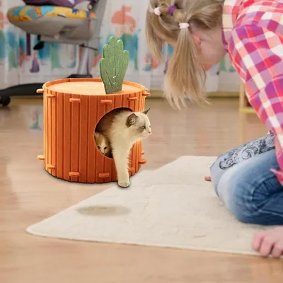 ZENITHMIND Maison semi-fermée en forme de carotte,Lit d'intérieur pour chat