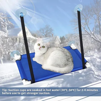 ZENITHMIND Hamac Chat avec Ventouses, Fenêtre de Lit de Chat