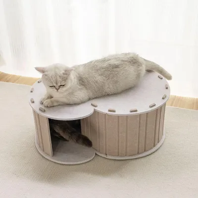 ZENITHMIND Lit tunnel pour chat, grand nid à griffer