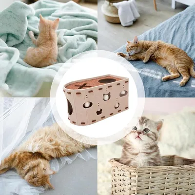 ZENITHMIND Maison À Griffes pour Chat,Griffoir en Cachette pour Chat