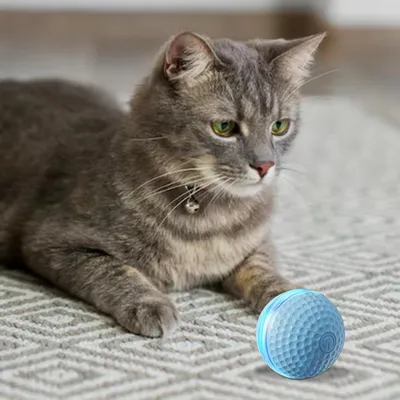 Jouet de Chat à Balle en Mouvement,Balle roulante de Chat Automatique