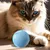 Jouet de Chat à Balle en Mouvement,Balle roulante de Chat Automatique