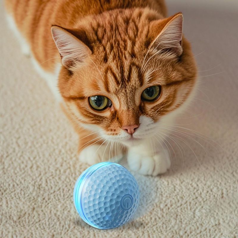 Jouet de Chat à Balle en Mouvement,Balle roulante de Chat Automatique
