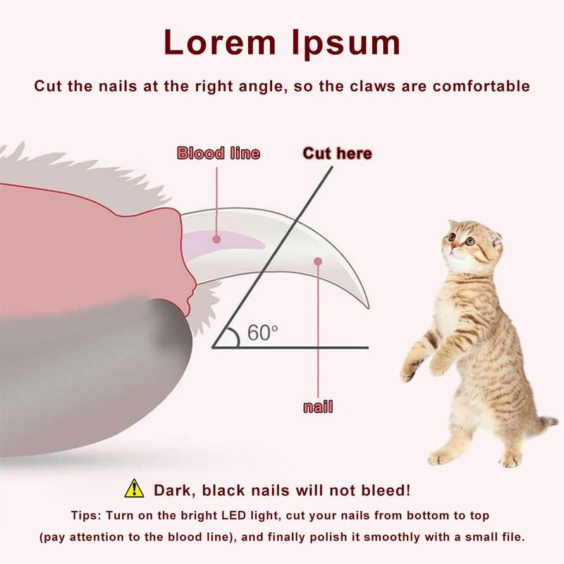 Tondeuse Griffes Professionnelle LED Anti-Éclaboussures pour Chiens/Chats