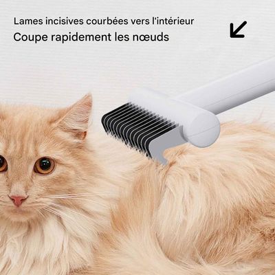 ZENITHMIND Brosses Pour Chiens De Toilettage