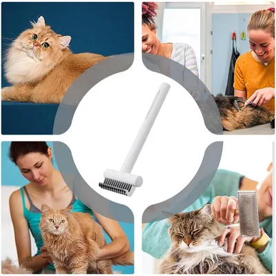 ZENITHMIND Brosses Pour Chiens De Toilettage