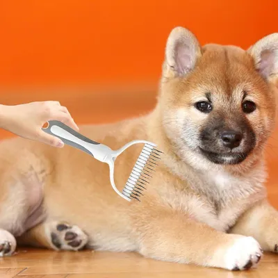 ZENITHMIND Peignes pour chiens, peignes de beauté