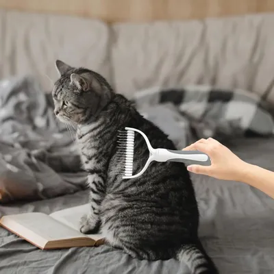 ZENITHMIND Peignes pour chiens, peignes de beauté