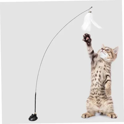 ZENITHMIND Teaser de Chat avec Ventouse et Plume