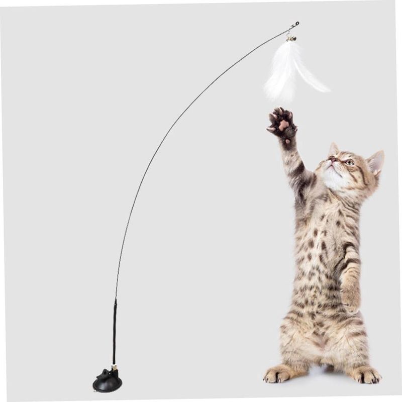 ZENITHMIND Teaser de Chat avec Ventouse et Plume