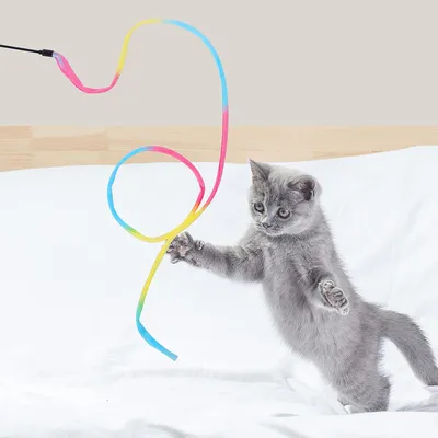 LovuPet Baguette ruban arc-en-ciel 3pcs pour chatons, jeu interactif chat