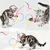 LovuPet Baguette ruban arc-en-ciel 3pcs pour chatons, jeu interactif chat