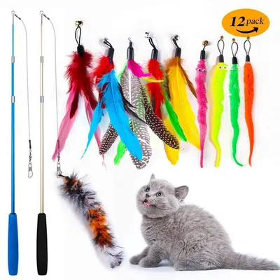 ZENITHMIND Jouet à Plumes pour Chats [12 PCS]