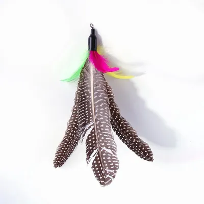 ZENITHMIND Jouet à Plumes pour Chats [11 PCS]