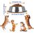 ZENITHMIND 2 bols pour chiens en acier inoxydable, antidérapants
