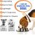 ZENITHMIND 2 bols pour chiens en acier inoxydable, antidérapants
