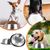 ZENITHMIND 2 bols pour chiens en acier inoxydable, antidérapants