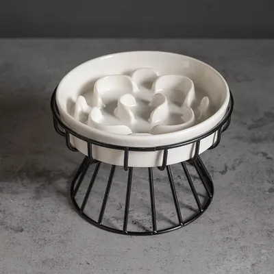 ZENITHMIND Bol Slow Food pour chat en céramique